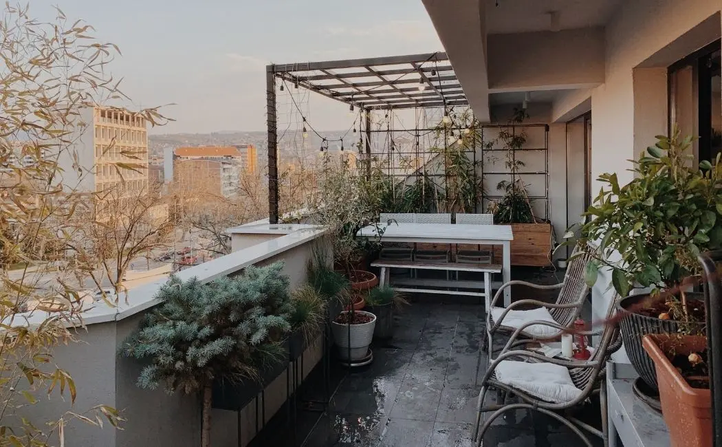 Mieszkanie z ogródkiem – urban jungle w sercu miasta