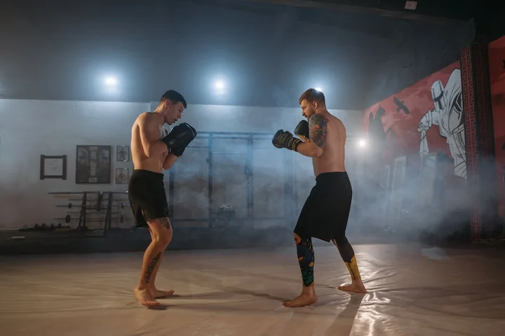 Ranking zawodników w KSW