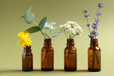 Obraz do artykułu: Od rośliny do butelki – jak powstają olejki eteryczne?