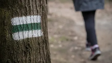 Natura tuż za miastem czeka na fotografów. Do wygrania 2400 zł