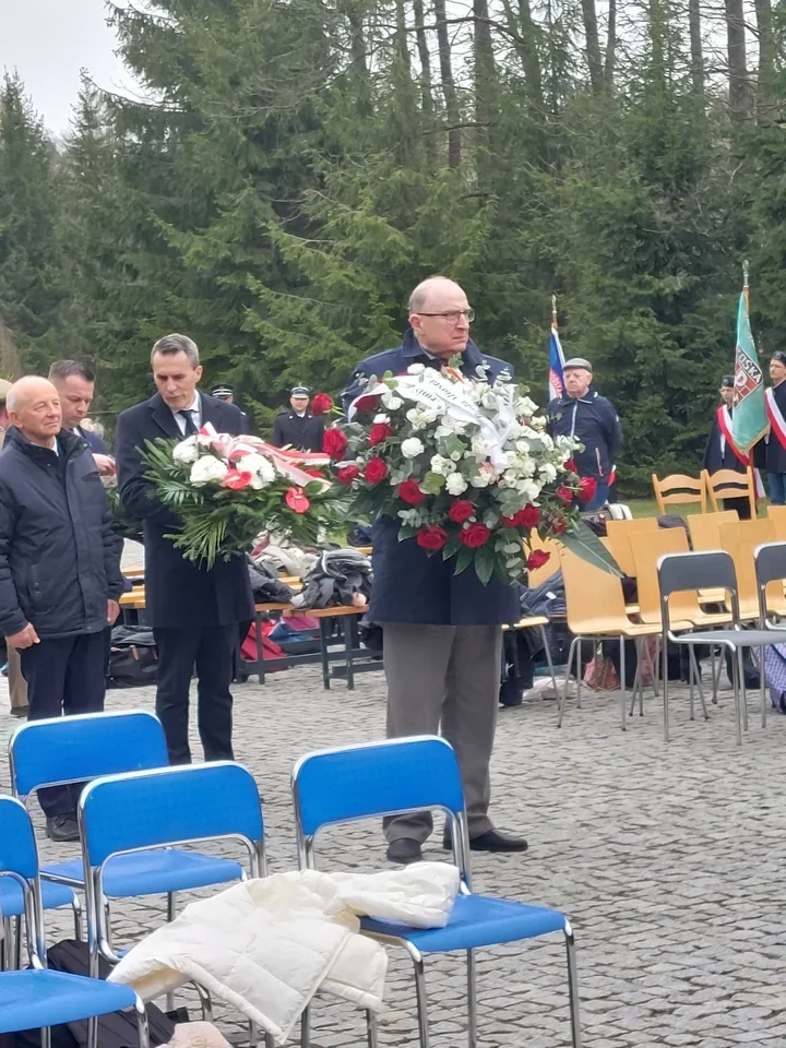 101 dębów i lekcja pamięci w lesie pod Celestynowem