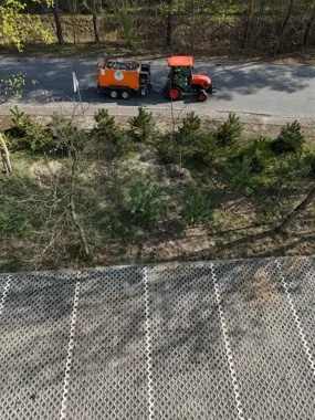 Nowe sosny przy moście w Józefowie mają osłonić parking i wzmocnić zieleń