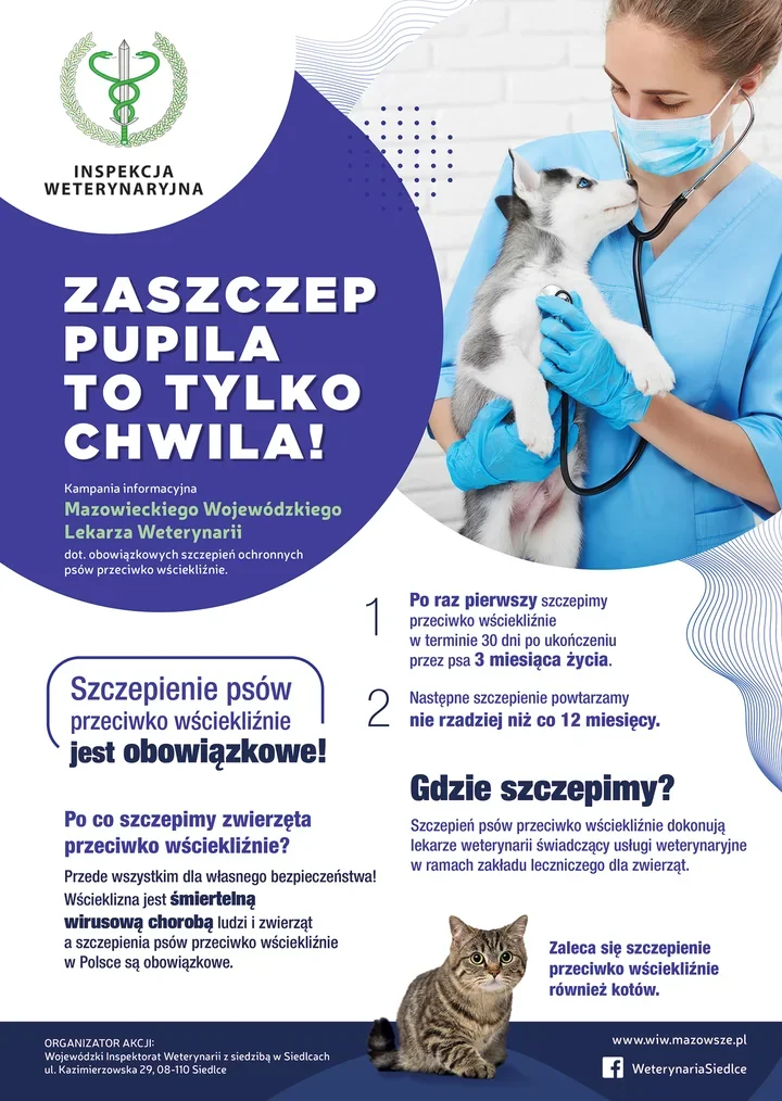 Nowe przypadki wścieklizny na Mazowszu. Powiat otwocki zwiększa nadzór