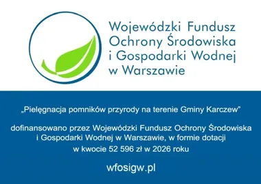 Jedenaście drzew pomnikowych objęto pielęgnacją w gminie Karczew