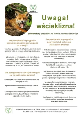Padły lis lub inne dzikie zwierzę? W Karczewie trzeba zgłosić je weterynarii