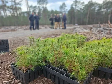 Otwoccy policjanci zamiast pościgów ruszyli sadzić 1000 sadzonek