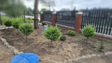 Na terenie ogrodu przy ogrodzeniu z czerwonej cegły i czarnych metalowych prętów rosną młode, okrągło przystrzyżone krzewy na podpórkach, a ziemia wokół nich je