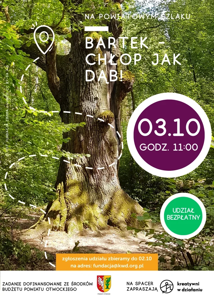 Dwa jesienne spacery pod Otwockiem. Jeden prowadzi do dębu „Bartka”