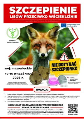 Szczepienia lisów na Mazowszu. Przynęt nie wolno dotykać