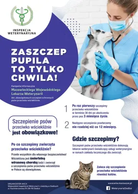 Dzikie zwierzę na posesji? Te zasady mogą uchronić przed wścieklizną